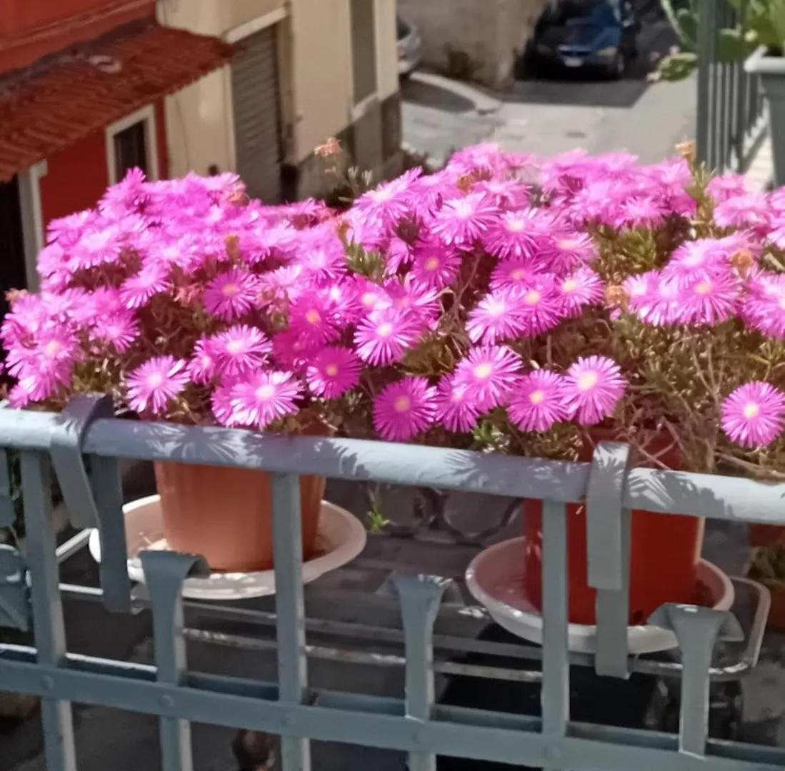 Ferienwohnung La Casuzza Di Tindaro CTA